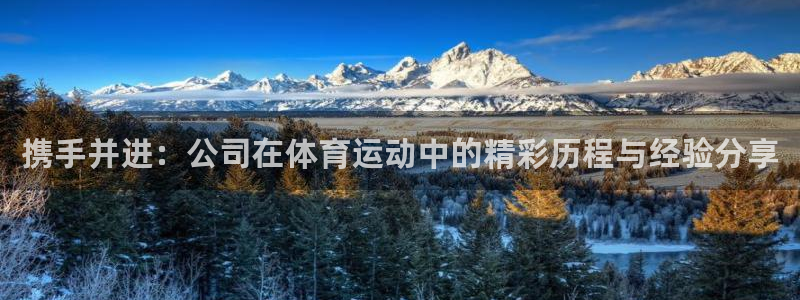 91体育网页版：携手并进：公司在体育运动中的精彩历程与经验分享