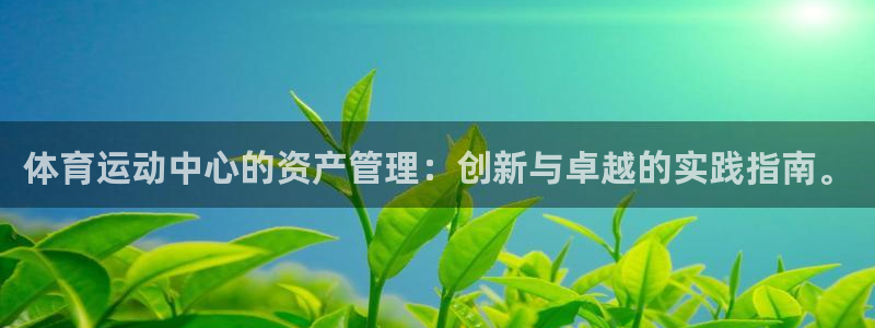 191体育馆：体育运动中心的资产管理：创新与卓越的实践指南。
