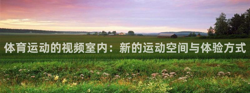 191体育馆：体育运动的视频室内：新的运动空间与体验方式