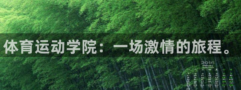 91体育在线登陆：体育运动学院：一场激情的旅程。