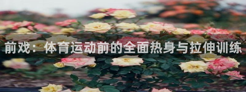 991体育综合1：前戏：体育运动前的全面热身与拉伸训练