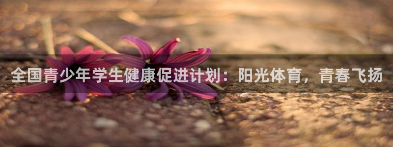 91体育在线登陆：全国青少年学生健康促进计划：阳光体育，青春飞扬